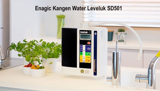 Leveluk SD501 Demo incelemesi
